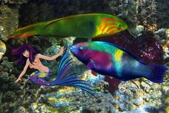 Mermaid Polly Mermaid with a parrot fish Scarus schlegeli and a colorful Thalassoma