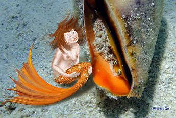 Mermaid Oogled by Conch Shell Mermaid chatting with a Conch Shell Strombus luhuanus