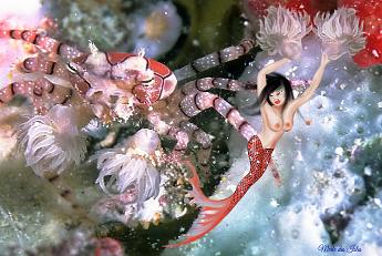Pom Pom Mermaid with a anemone crab