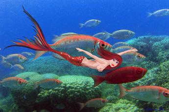Mermaid ruby Mermaid with a school of Priacanthus hamrur