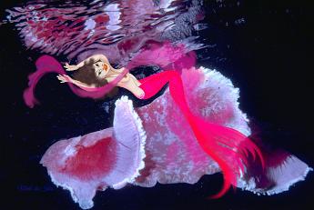 Spanish Dancer Mermaid with a Spanish Dancer nudibranch