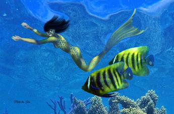 Angle Mermaid Mermaid with the Angle fish Pomacanthus sexstriatus
