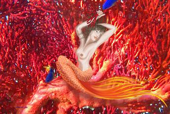Mermaid Fan Dancer Mermaid on a red sea fan