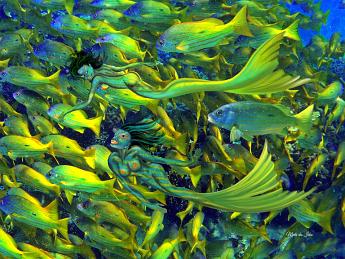 Mermaids snapping Mermaids blending in with a school of yellow snappers Lutjanus fulviflamma