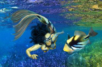Mermaid Trigger Mermaid mimicking a Picasso Triggerfish Rhinecanthus aculeatus