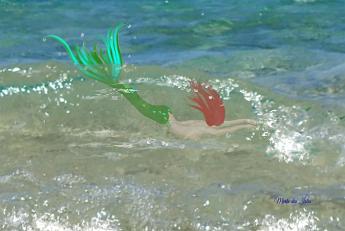 Breaker Mermaid Mermaid diving into a breaking wave