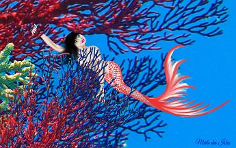 Mermaid Peek Mermaid behind a red sea fan