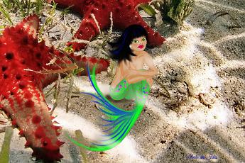 Starlet Mermaid Mermaid with two starfish